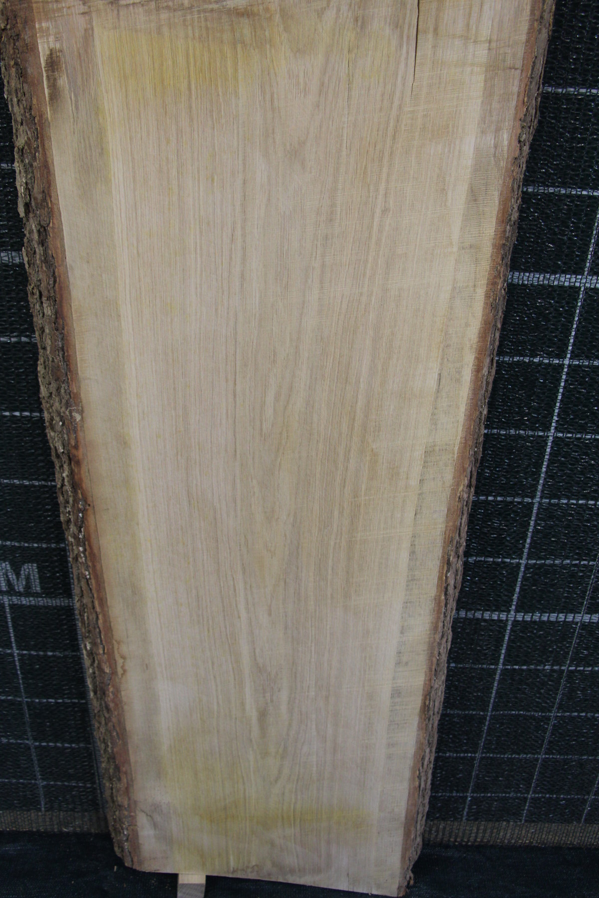 слеб дуб необработанный