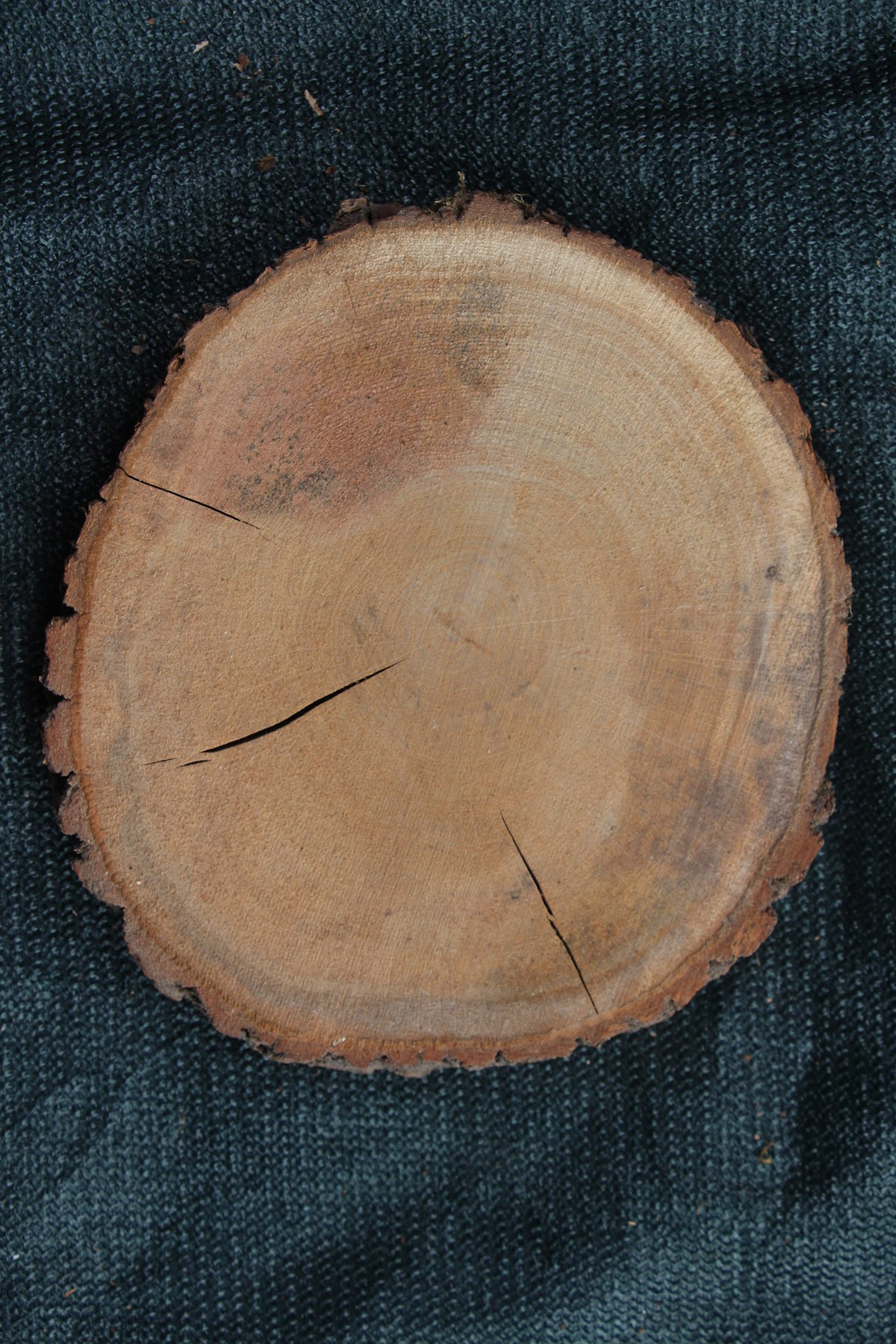 спил дуб сухой необработанный  толщина 53мм. диаметр 240-270мм. масса 2кг. в наличии 4шт.