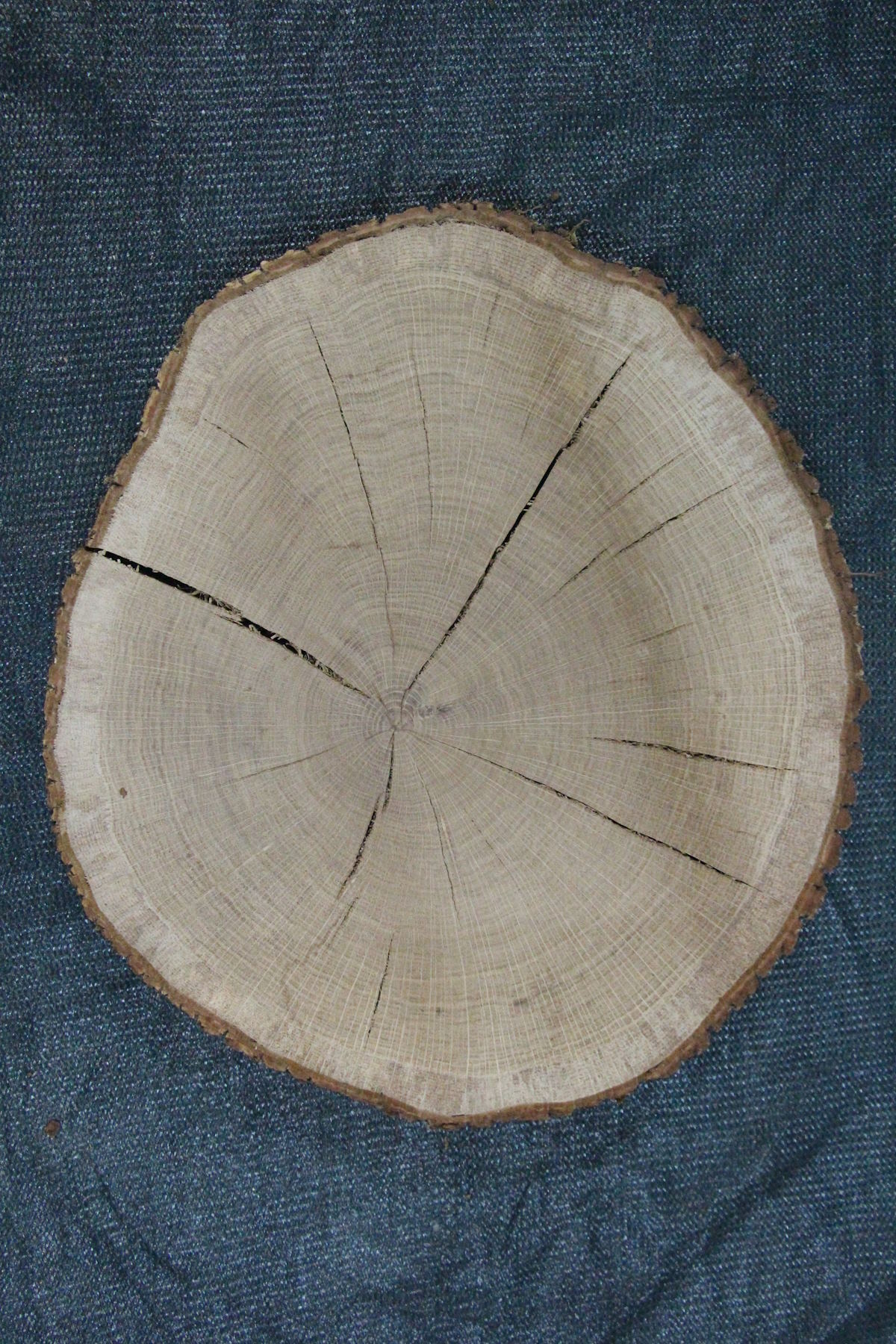 спил дуб сухой фрезерованный  толщина 60мм. диаметр 450-500мм. масса 7,7кг. в наличии 1шт.