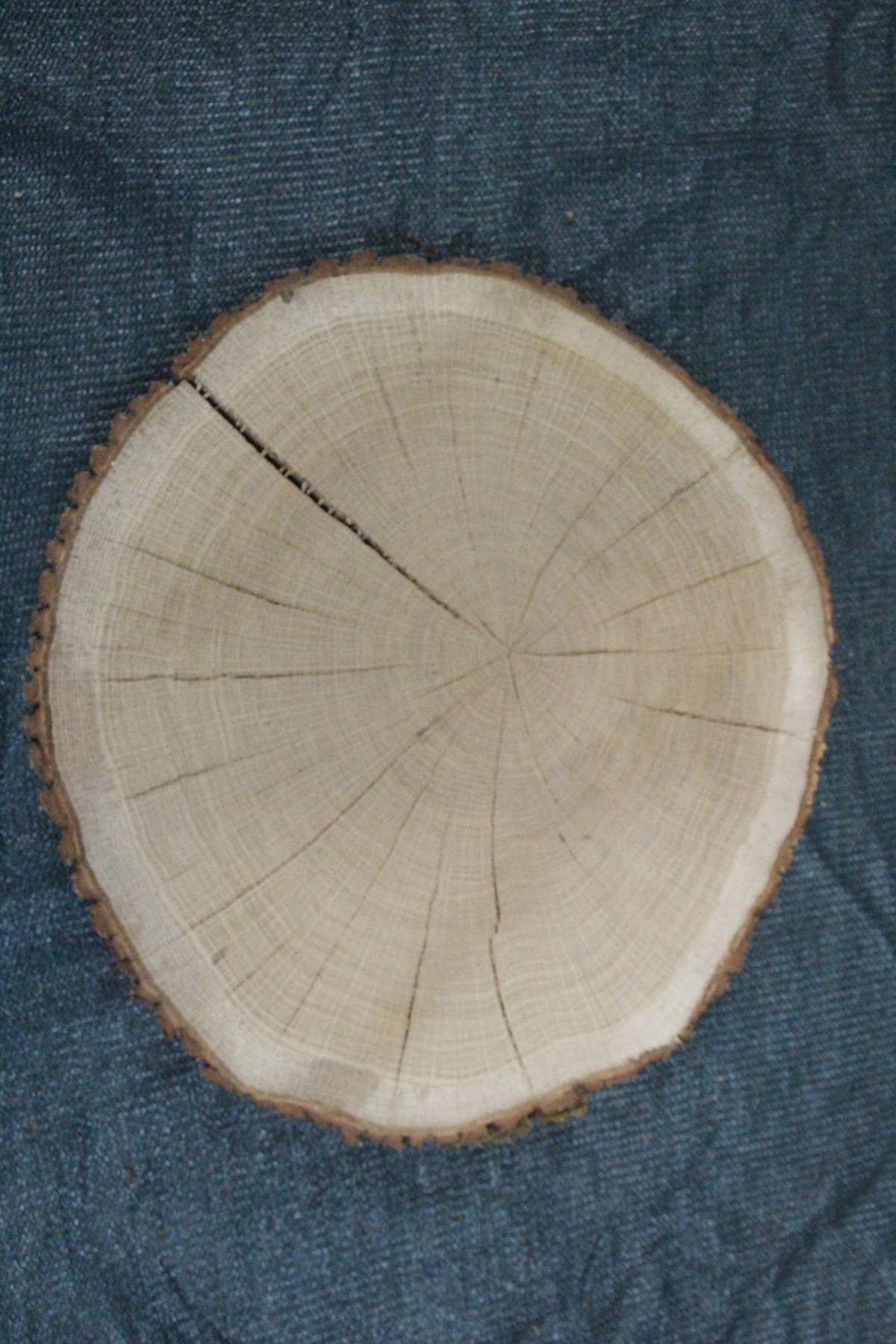 спил дуб сухой фрезерованный  толщина 62мм. диаметр 440-470мм. масса 6,9кг. в наличии 2шт.